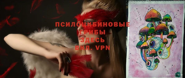 ешки Верея