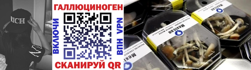 Галлюциногенные грибы GOLDEN TEACHER  OMG рабочий сайт  Кадников 